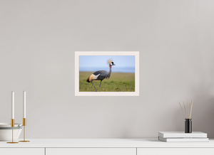 Strictly Formal, Crowned Crane