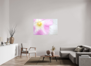 Spider's Treasure, Maine