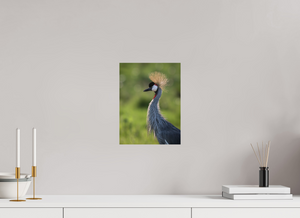 Glamour, Crowned Crane