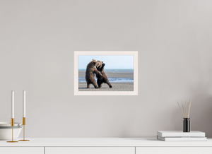 Sibling Rivalry, Alaskan Coastal Brown Bear Cubs