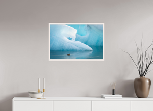 Frozen Eider, Iceland