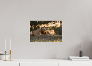 Lord of the Dawn, Lion