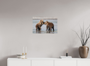 Conflict, Alaskan Coastal Brown Bear Cubs
