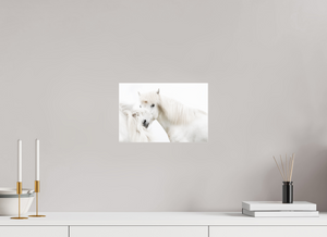 Transparency, Iceland