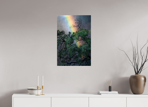 Weathered & Unbeaten, Zimbabwe