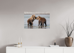 Conflict, Alaskan Coastal Brown Bear Cubs
