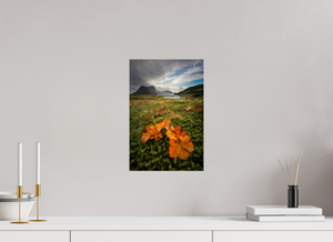 Gems in the Rough, Norway