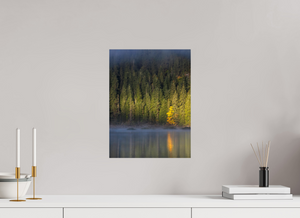 Spotlight, Montenegro