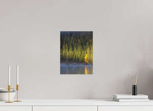 Spotlight, Montenegro