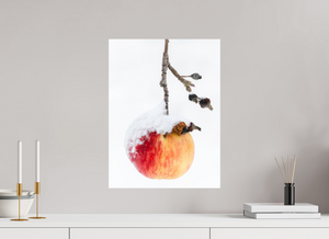 Frozen Delight, Maine