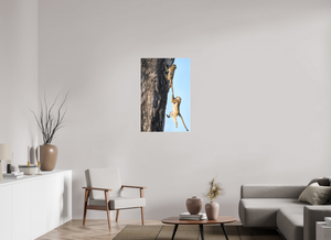 King of the Swingers, Baboon