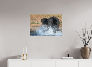 Tsunami, Elephant