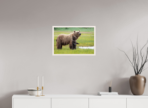 Standing Tall, Alaskan Coastal Brown Bear