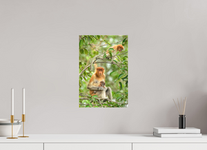 Audacity and Indignation, Proboscis Monkey