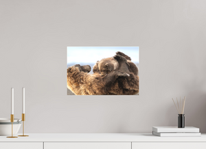 The Nursery Hour, Alaska