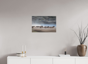 Safety in Numbers, Wildebeest