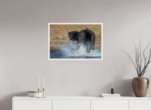 Tsunami, Elephant