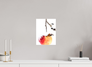 Frozen Delight, Maine