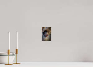 Treasure Chest, Maine