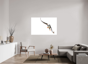 The Provider, Tufted Puffin