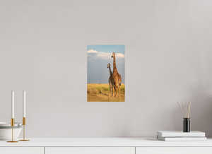 Head in the Clouds, Giraffe