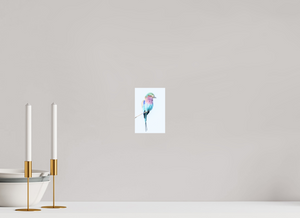 African Pastels, Lilac-Breasted Roller