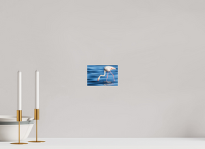 Point of Impact, Greater Flamingo