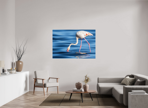 Point of Impact, Greater Flamingo