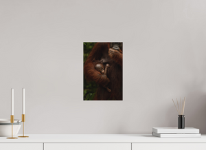 Bonding, Orangutan
