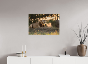 Lord of the Dawn, Lion