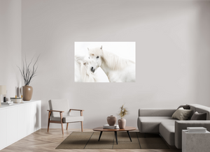 Transparency, Iceland