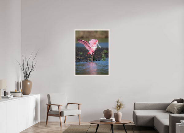 Water Dance, Roseate Spoonbill