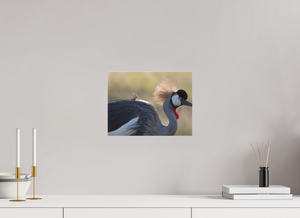 Rouge Details, Crowned Crane