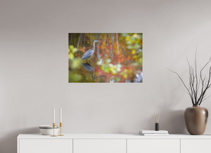 Impressions of Monet, Maine