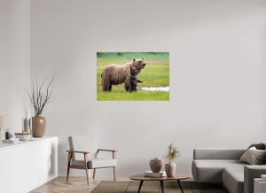 Standing Tall, Alaskan Coastal Brown Bear