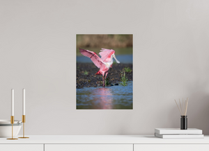 Water Dance, Roseate Spoonbill