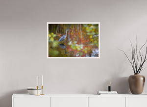 Impressions of Monet, Maine