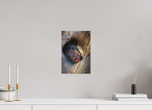 Treasure Chest, Maine