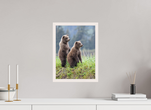 Double Trouble, Alaskan Coastal Brown Bear Cubs