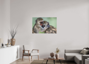 Primal Emotion, Vervet Monkey