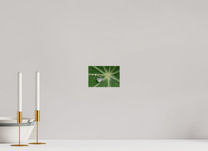 Jurassic Park, Maine