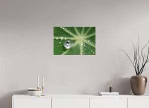 Jurassic Park, Maine