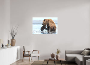 Protection, Alaskan Coastal Brown Bear Cub