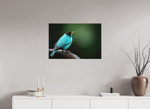 Centerpiece, Green Honeycreeper