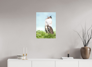 Spring Fancy, Kori Bustard