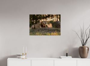 Lord of the Dawn, Lion