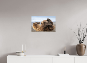 The Nursery Hour, Alaska