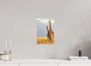 Head in the Clouds, Giraffe