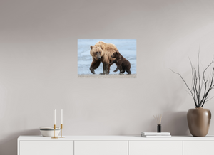 Playful Invitation, Alaskan Coastal Brown Bear