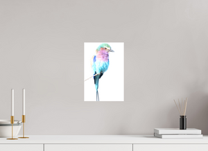 African Pastels, Lilac-Breasted Roller